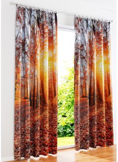Panneau occultant imprimé forêt (1 pce.), bpc living bonprix collection