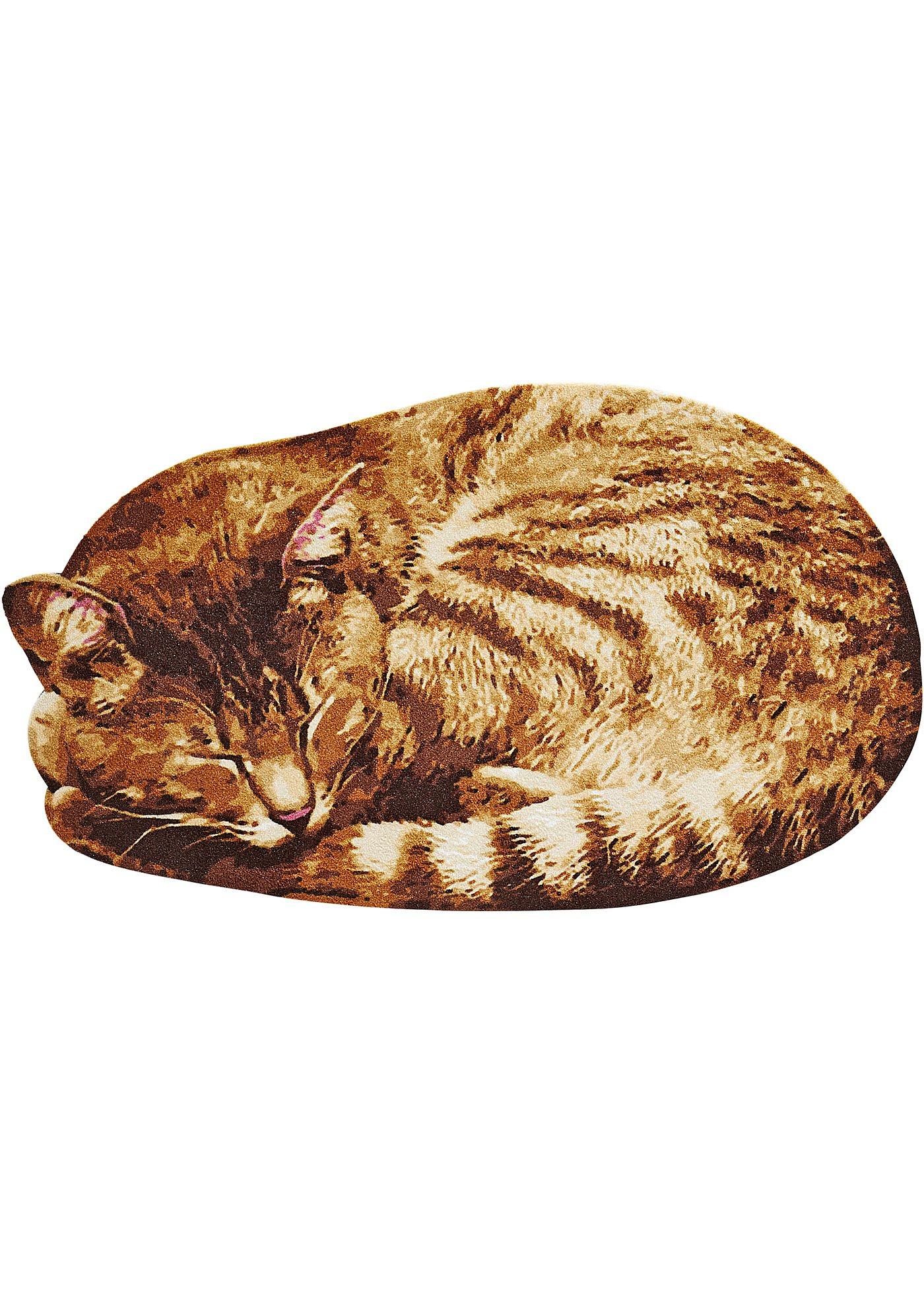 Paillasson Cat Paillasson Cat