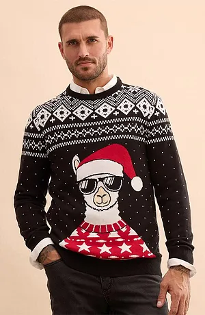 Homme - Pull de Noël en coton mélangé - noir/blanc