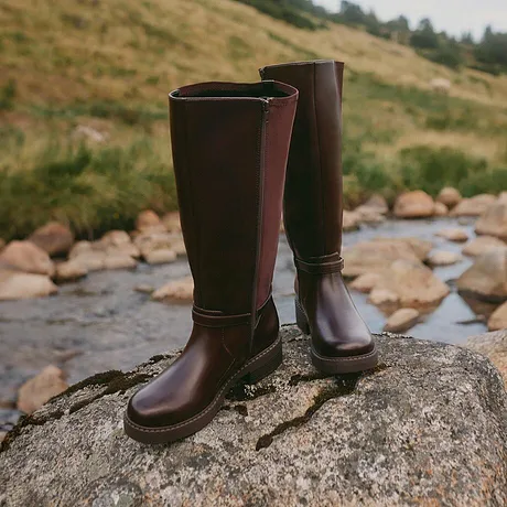 Femme - Bottes - marron foncé