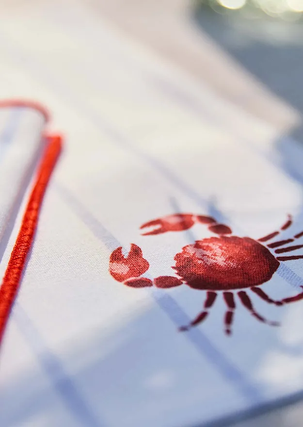 Maison & Jardin - Lot de 2 sets de table en coton - bleu poudr&eacute;/grenadine/blanc