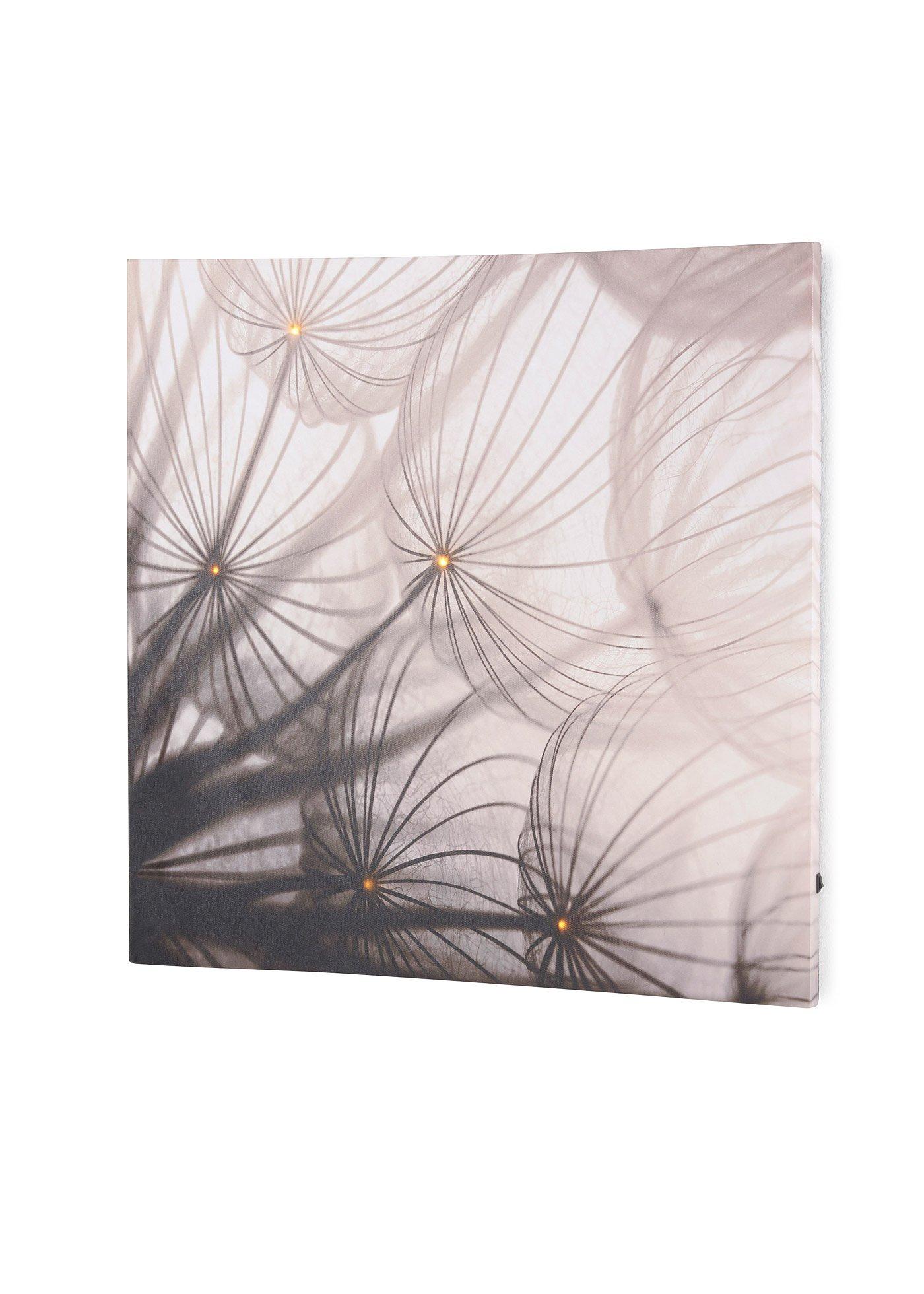 Tableau LED Fleur de pissenlit