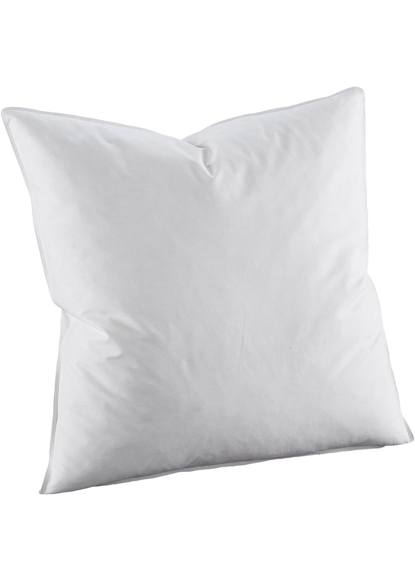 Oreiller plume, ferme