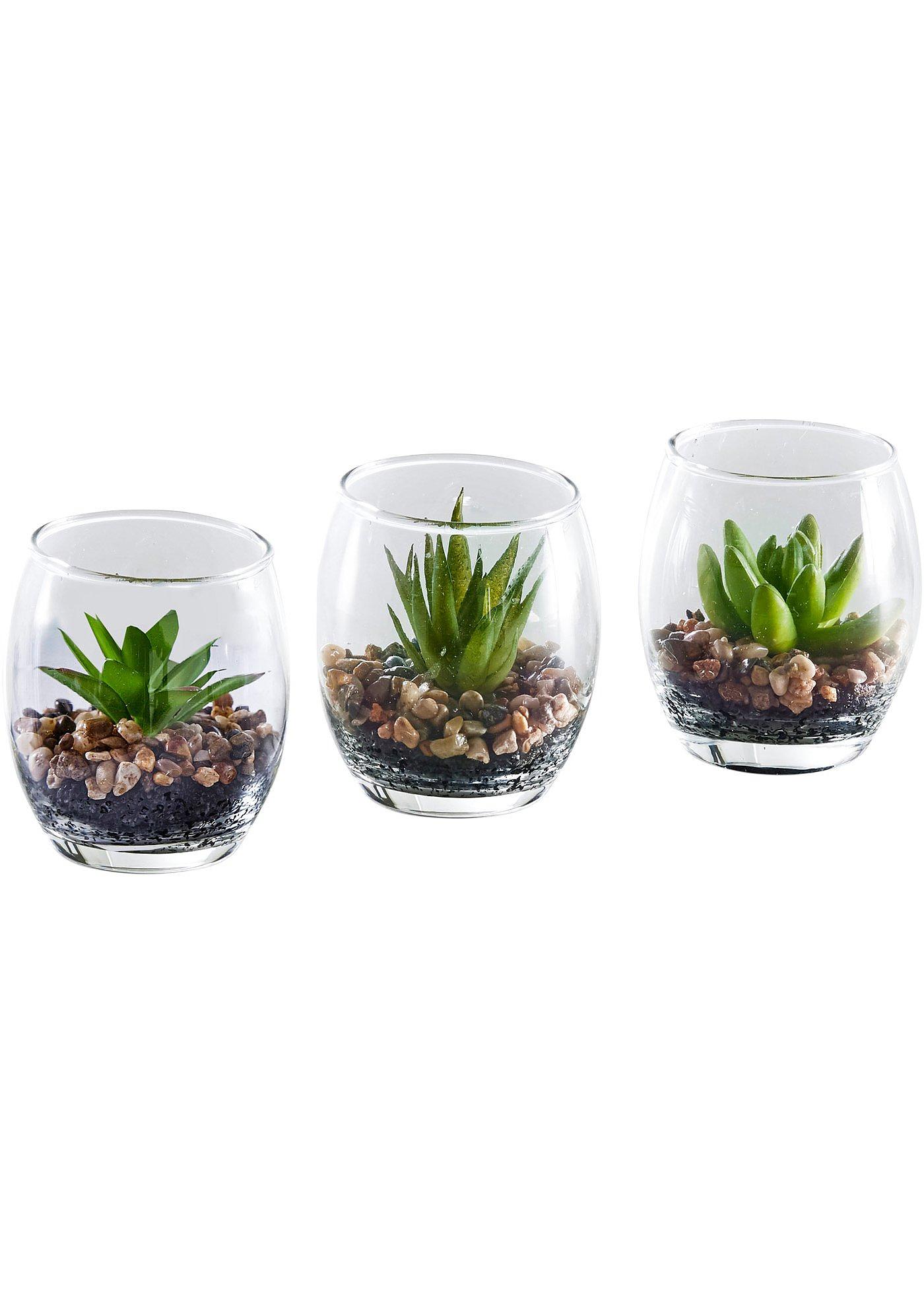 Succulentes artificielles dans un verre (Ens. 3 pces.)