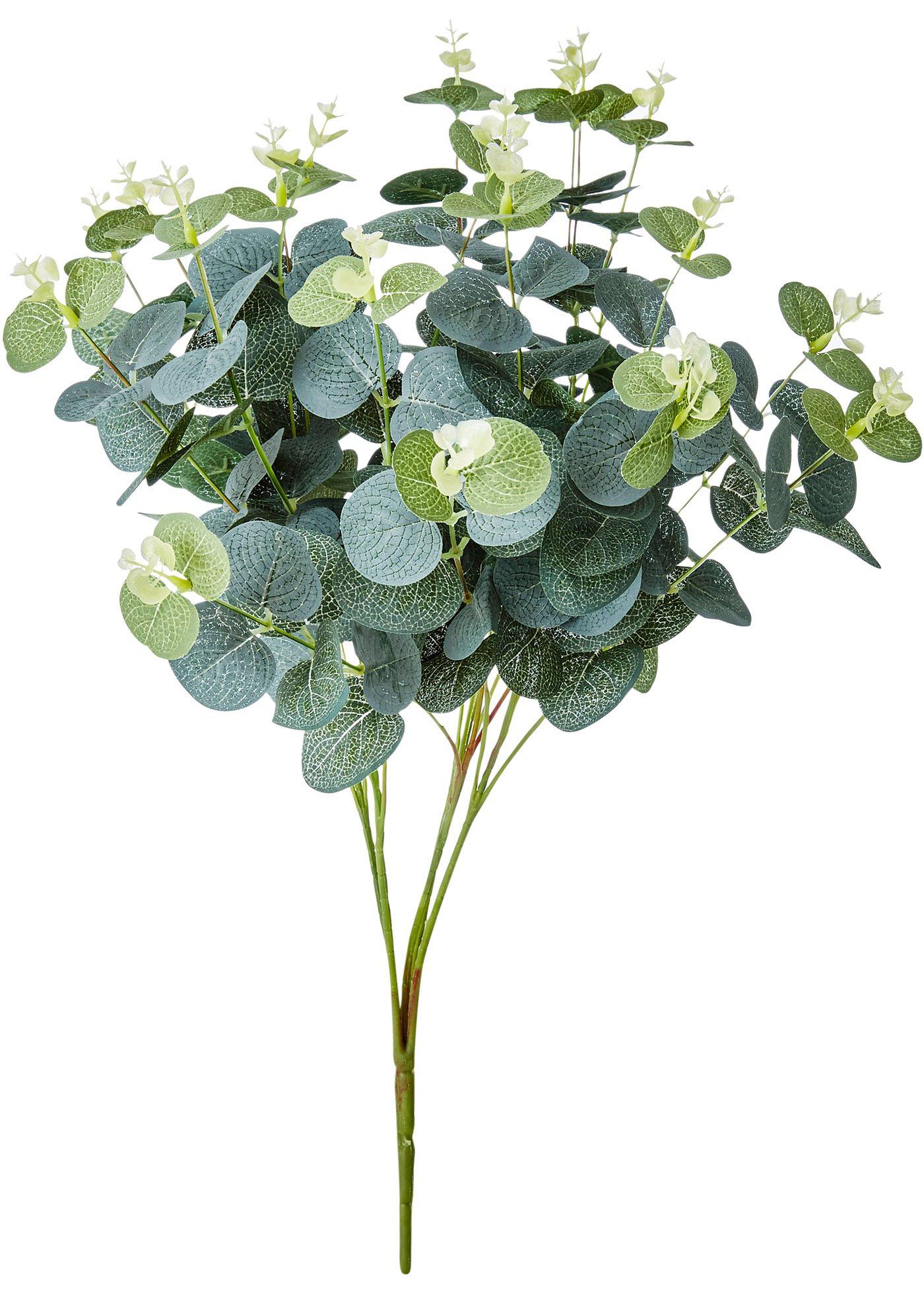 Plante artificielle avec feuilles d'eucalyptus