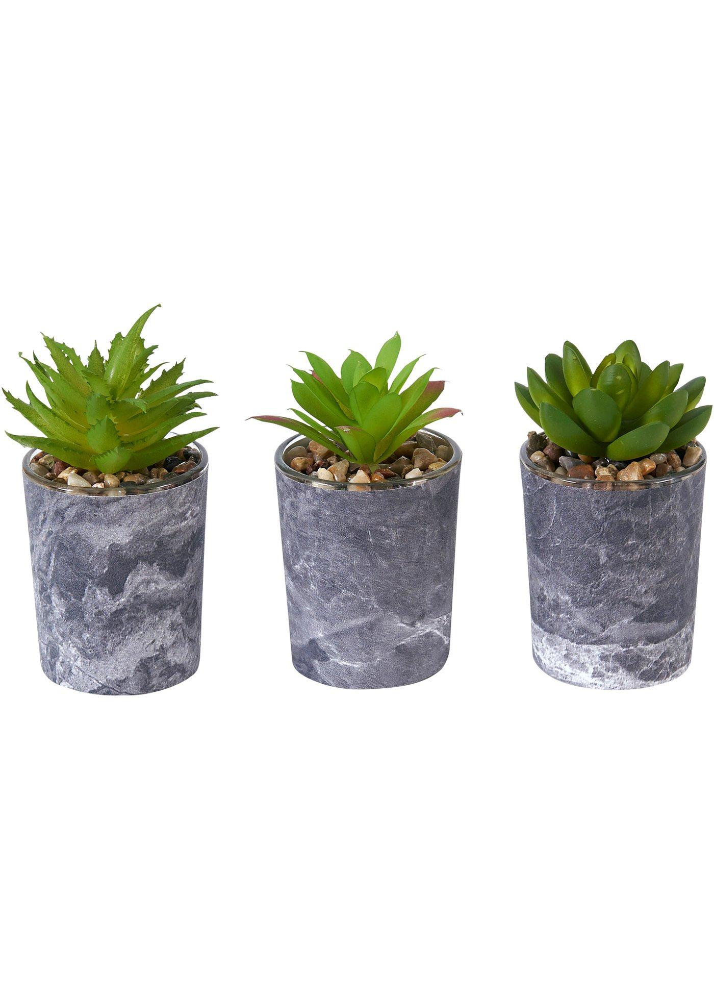 Succulentes artificielles (Ens. 3 pces.)