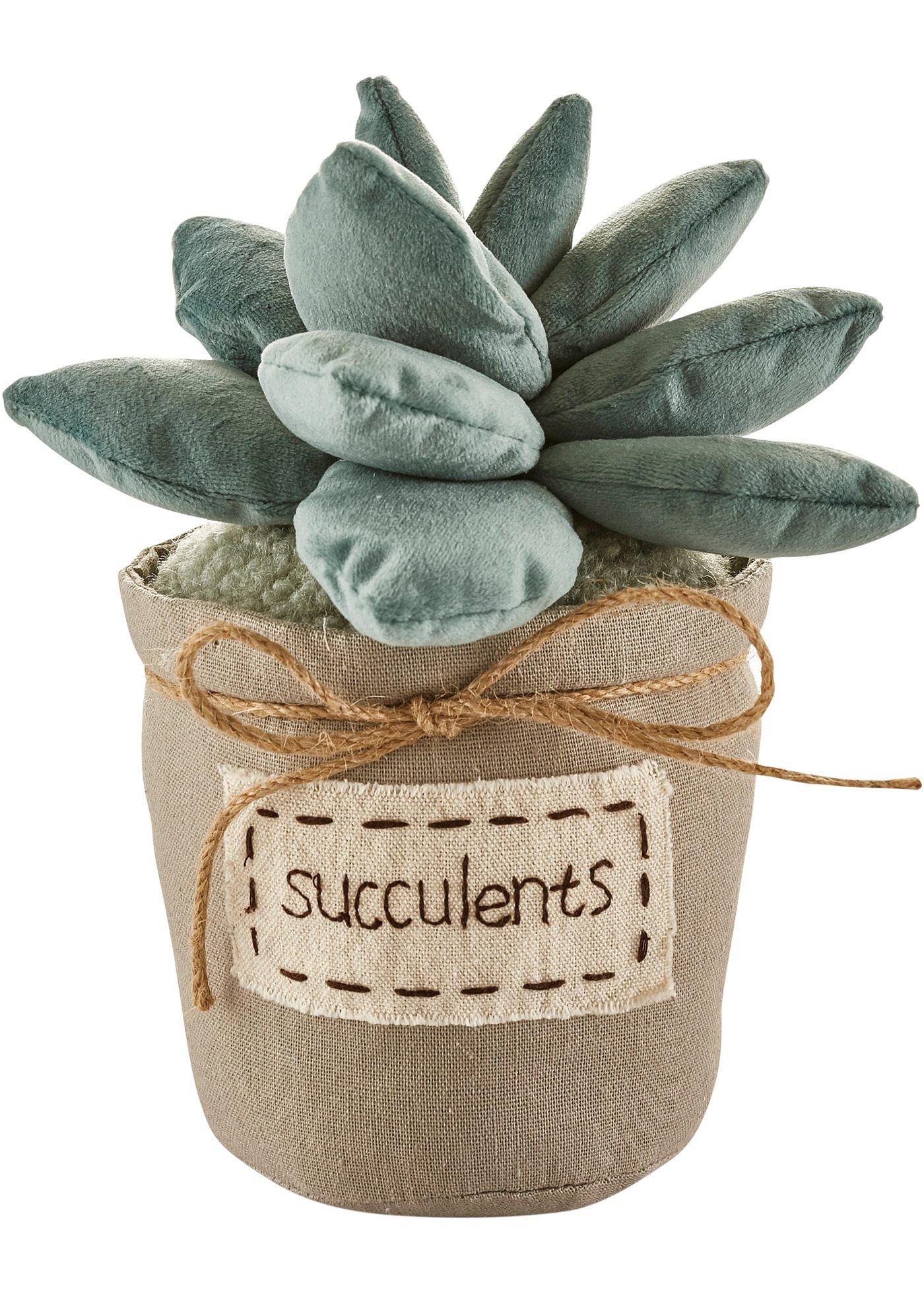 Cale-porte en forme de succulentes