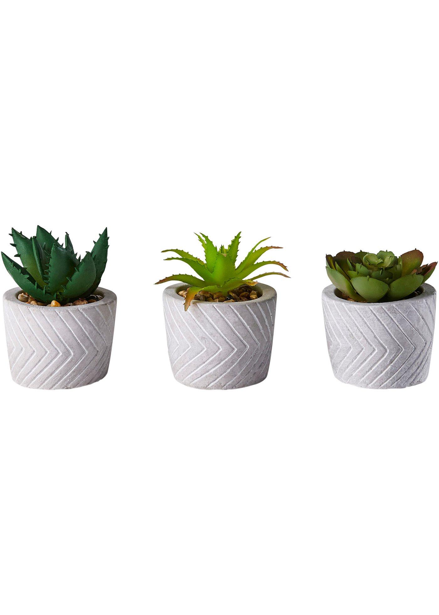 Lot de 3 plantes artificielles succulentes en pot