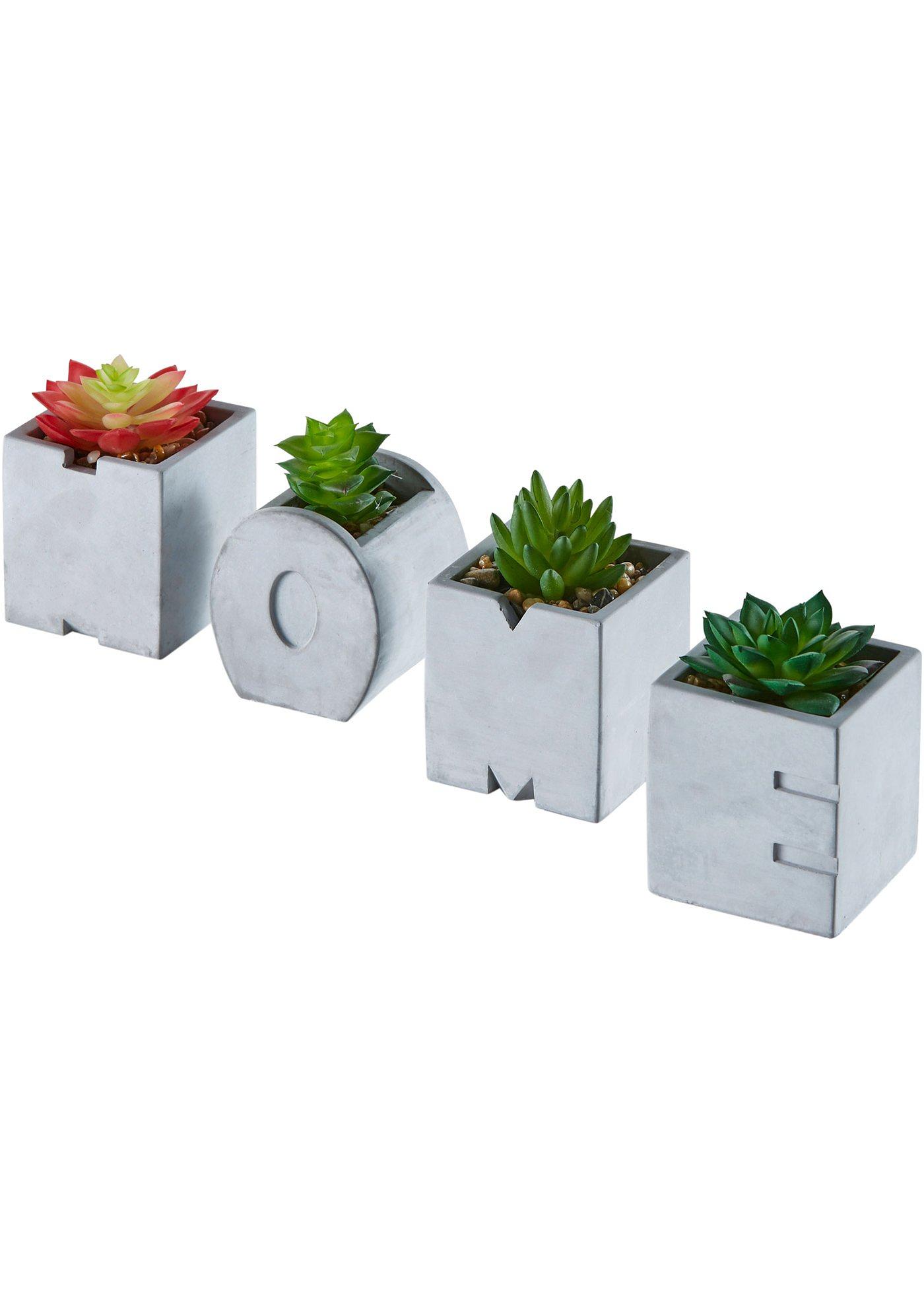 Succulentes artificielles Home en pot (Ens. 4 pces.)