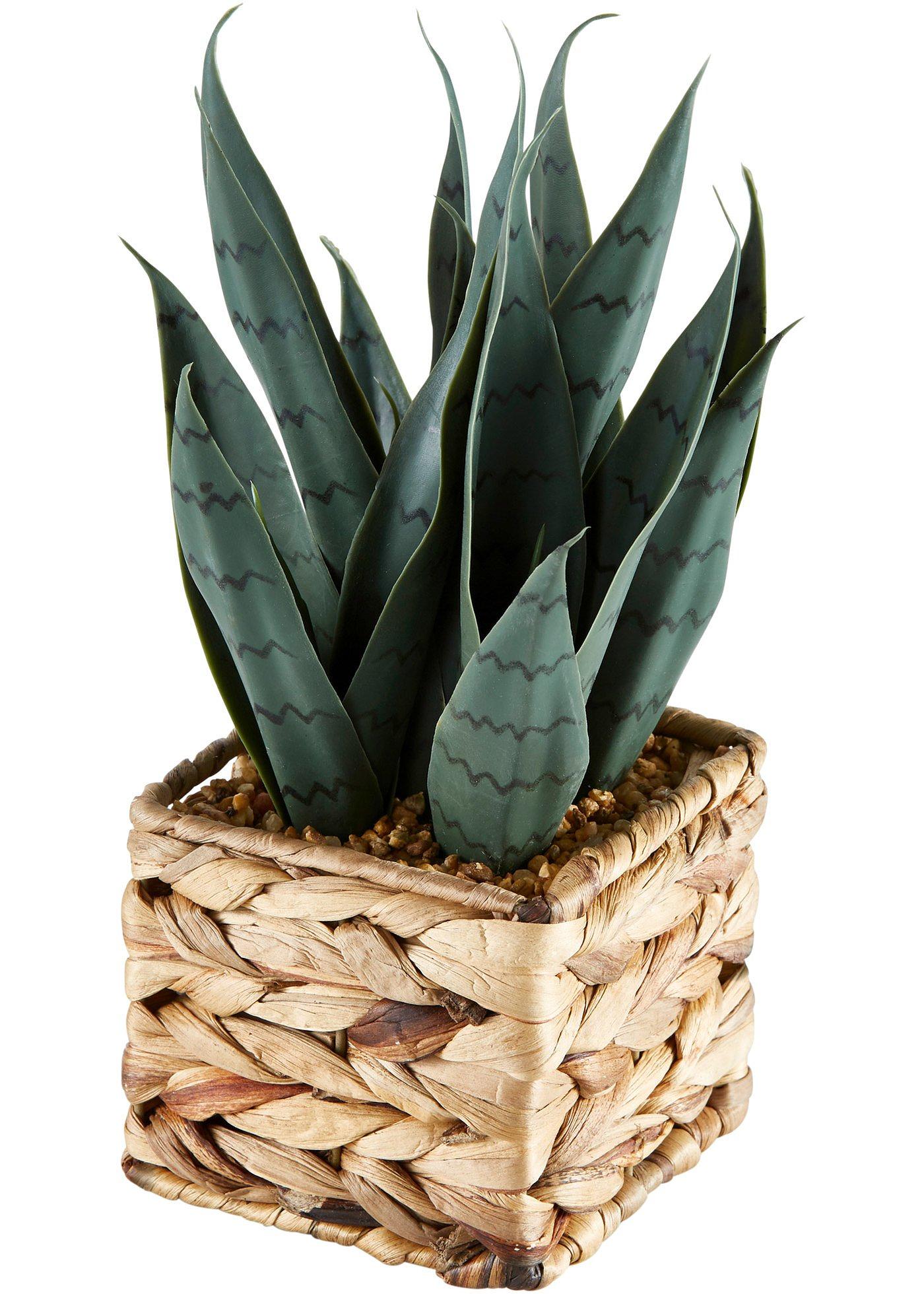 Plante artificielle dans un panier