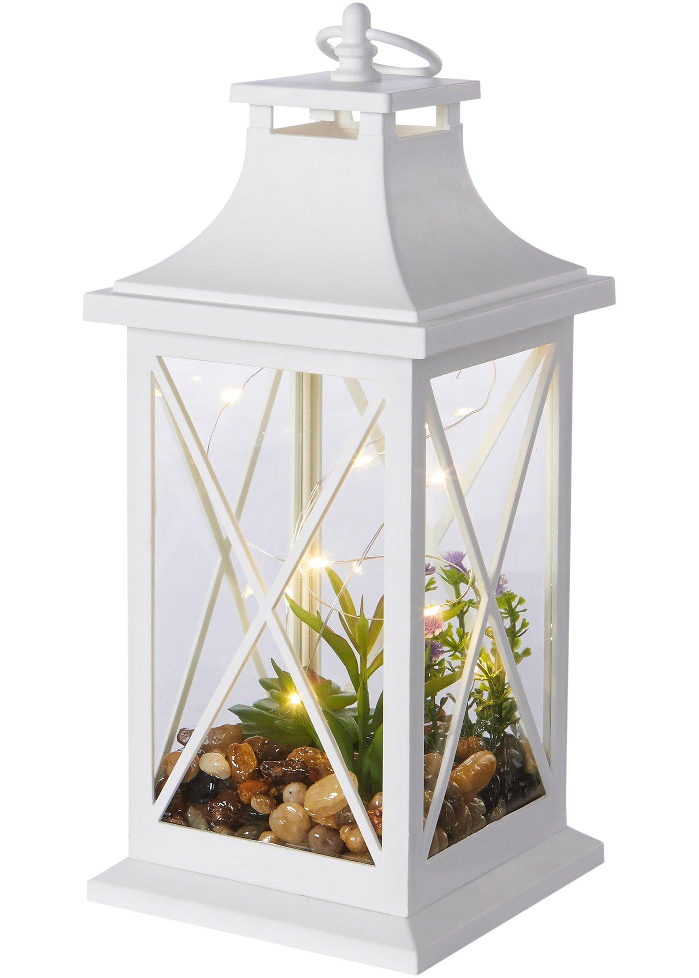 Lanterne LED avec succulentes