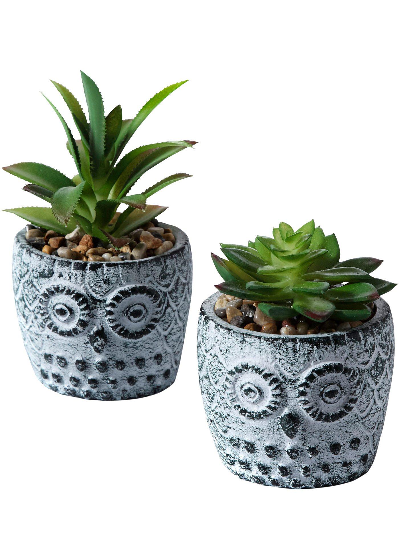 Plante artificielle en pot (Ens. 2 pces)