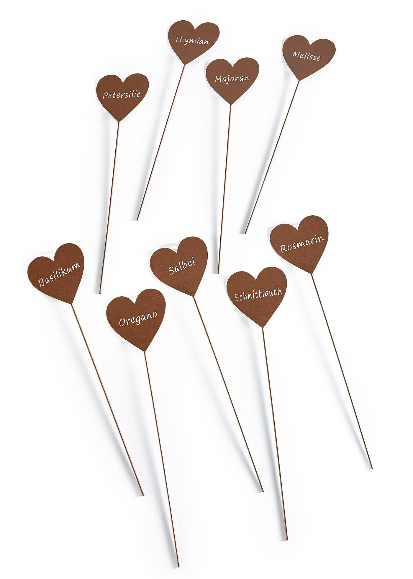 Lot de 9 piquets de jardin avec nom d'aromates