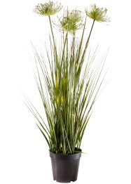 Plante artificielle LED avec herbes, bpc living bonprix collection