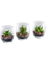 Succulentes artificielles dans un verre (Ens. 3 pces.), bpc living bonprix collection