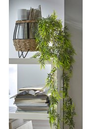 Bambou décoratif, bpc living bonprix collection