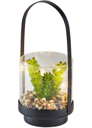 Plante artificielle LED dans un bocal, bpc living bonprix collection