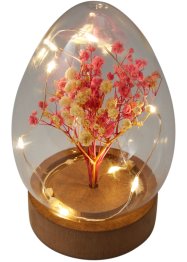 Objet déco LED Œuf avec fleurs séchées, bpc living bonprix collection