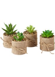 Set de 4 plantes artificielles (succulentes) avec cache-pot en jute, bpc living bonprix collection