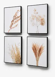 Lot de 4 tableaux, bonprix