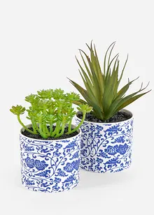 Plante artificielle succulente en pot (lot de 2), bonprix