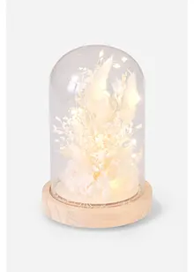 Objet déco LED avec herbes, bonprix