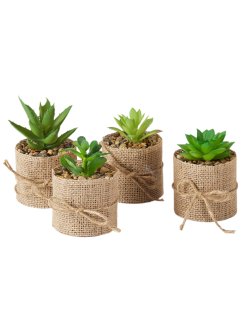 Set de 4 plantes artificielles (succulentes) avec cache-pot en jute, bpc living bonprix collection