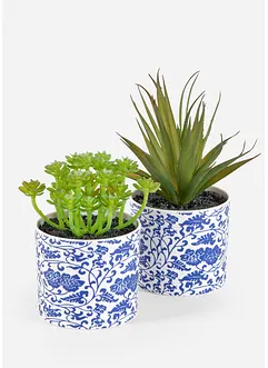 Plante artificielle succulente en pot (lot de 2), bonprix