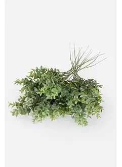 Plante artificielle branche d'eucalyptus (15 pces), bonprix