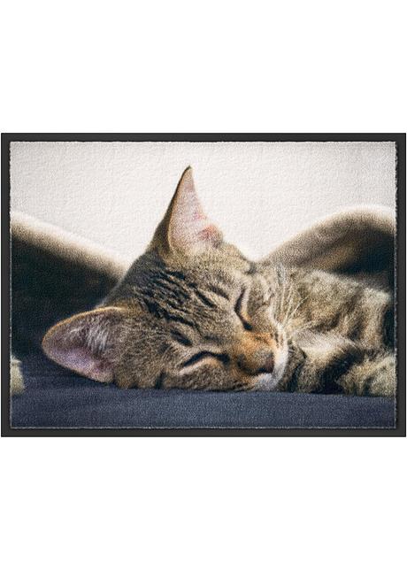 Tapis De Protection Motif Chat Beige Bpc Living Bonprix Collection Bonprix Fr