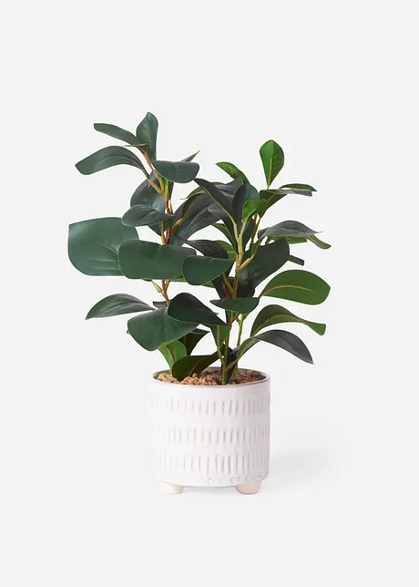 Plante artificielle en pot, bonprix