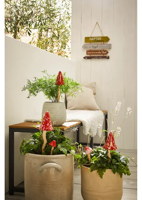 Amanites tue-mouches &agrave; piquer (ens. 5 pces), bonprix