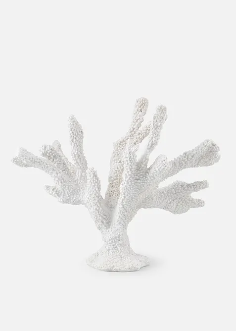 Objet d&eacute;co corail, bonprix