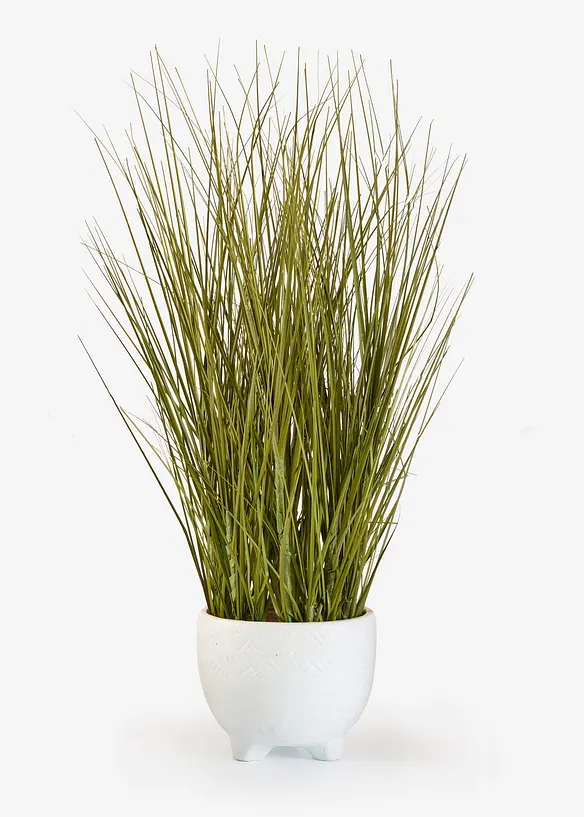 Plante artificielle en pot, bonprix