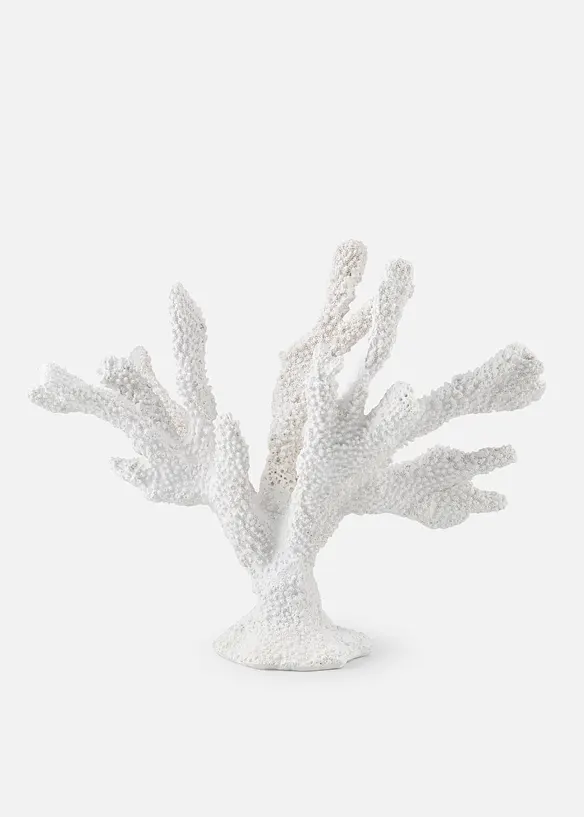 Objet d&eacute;co corail, bonprix